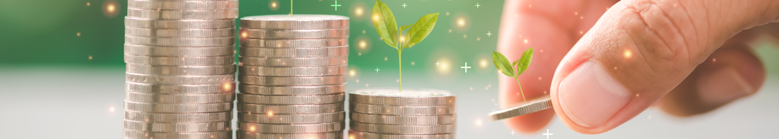 Ganancia económica y ecológica
